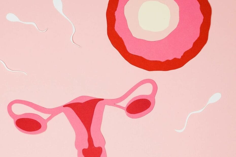 Understanding infertility in men and women