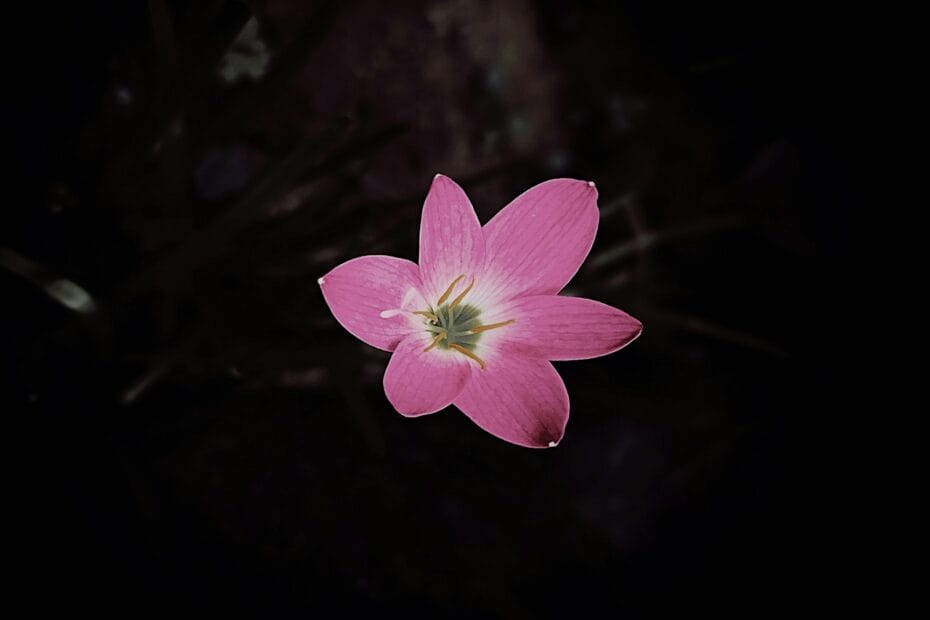 Discovering and embracing your uniqueness for potential growth