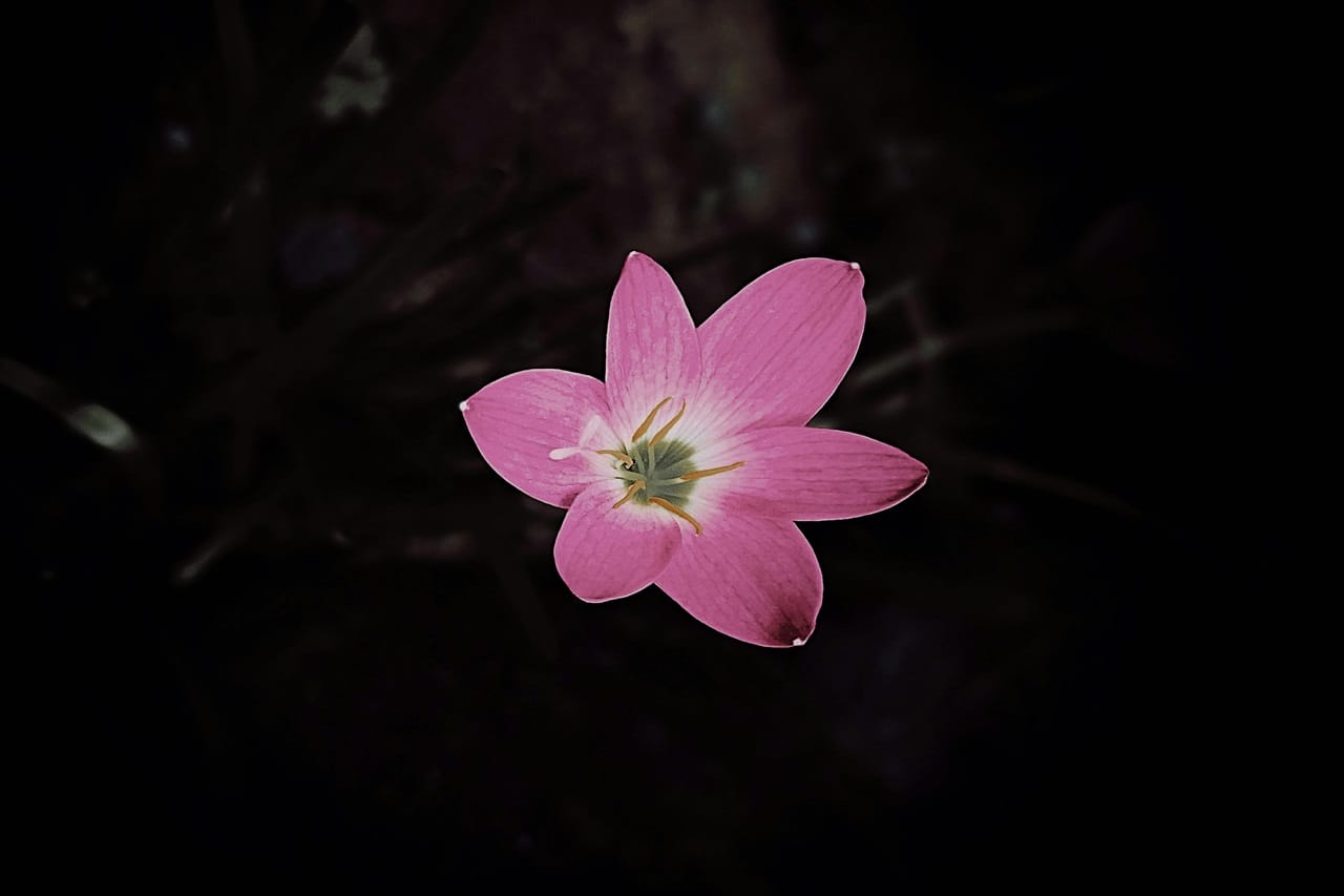 Discovering and embracing your uniqueness for potential growth